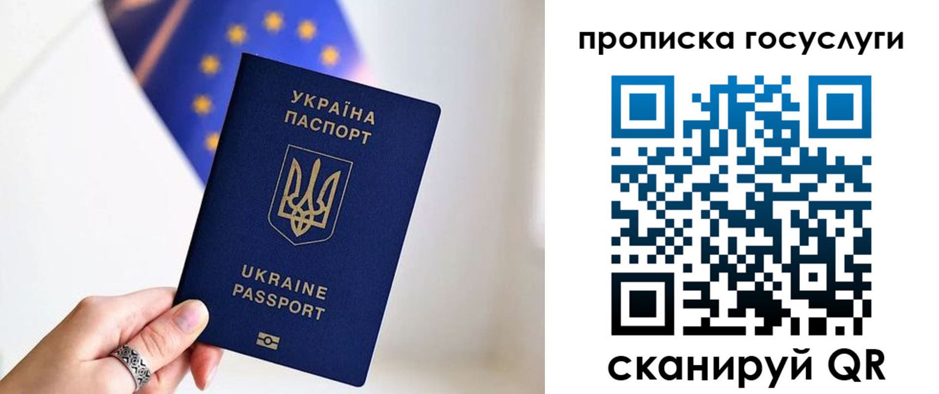 временная регистрация для всех в Ермолино